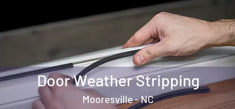 Door Weather Stripping Mooresville - NC