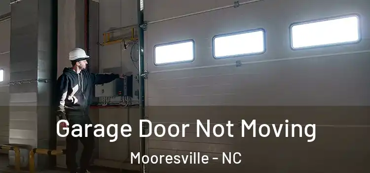  Garage Door Not Moving Mooresville - NC